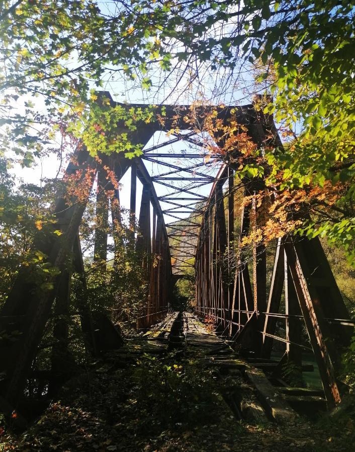Vikendica,, Tadic,, Ovcar Banja Vila Exterior foto